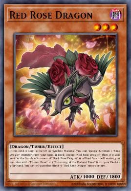 Red Rose Dragon