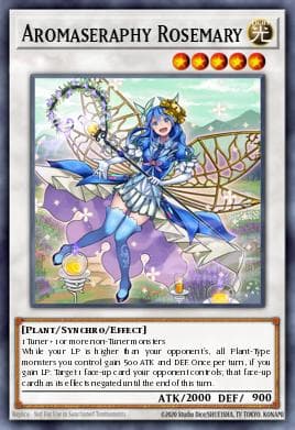 Aromaseraphy Rosemary