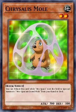 Chrysalis Mole