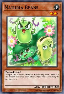 Naturia Beans