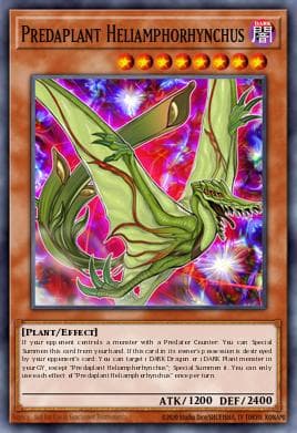 Predaplant Heliamphorhynchus