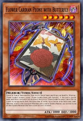 Flower Cardian Peony with Butterfly