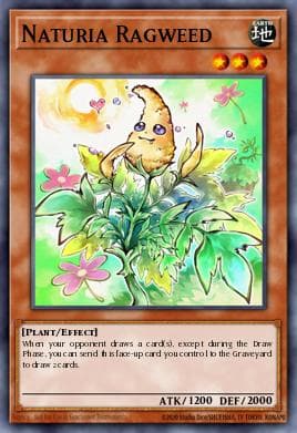 Naturia Ragweed