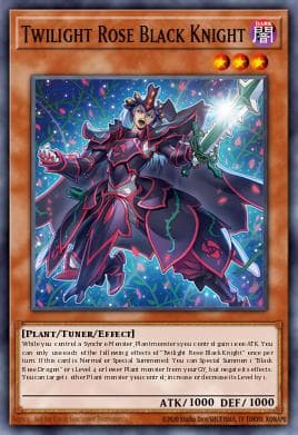 Twilight Rose Black Knight