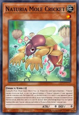 Naturia Mole Cricket