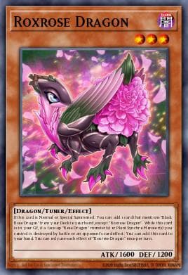 Roxrose Dragon