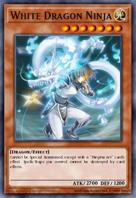White Dragon Ninja